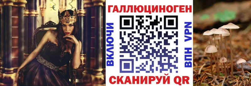 hydra   Агидель  Псилоцибиновые грибы прущие грибы 